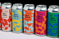 Packaging brand identity packaging design visual identity ILLUSTRATION  series Label beer