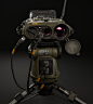 Concept: Remote Observation and Targeting System