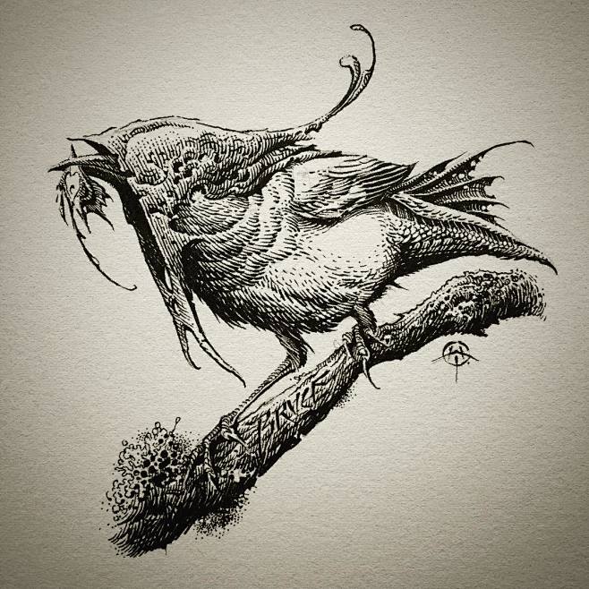 @aaronhorkey • Insta...