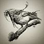 @aaronhorkey • Instagram photos and videos : Rural Midwest
