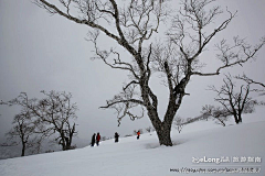 ericsnow采集到雪乡、雪山、雪墨风情, 