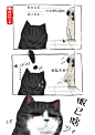 吾皇的喵声哲学....话说这三只生物算是在共勉吗.......
