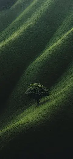 换个屏保换个世界