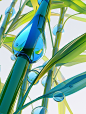 wthrdw_minimalism_illustration_3D_rendering__whitebackground_ex_9101b2c4-9b2b-48c9-b185-3dbc81a5d4b2