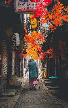 赤夜凌天采集到真实场景