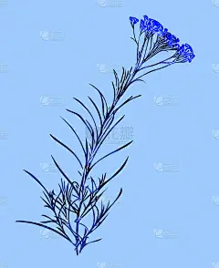 咖喱植物无缝图案，水彩插画。