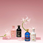 Against a pink blush background, a still life shows four fragrances from The Alchemist’s Garden collection – the pink bottle of A Chant for the Nymph stands next to the black bottle of A Reason to Love, with the blue bottle of A Song of the Rose and white