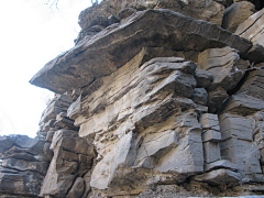 Zhutum采集到山石