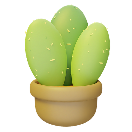 Cactus Plant Pot 3D ...