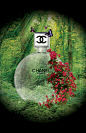 Chanel Elements