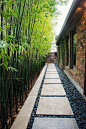 Interesting way to pave the side of the house