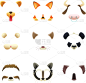 动物,动物耳朵,幽默,动物鼻子,图像,猫,腮须,公牛,狗,性格
