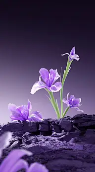 【背景】【酸性、流体、水晶光等】