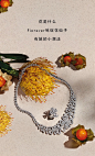 BVLGARI宝格丽 珠宝 钻戒 戒指 项链 耳环