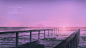 Lighthouse_E.Pcat__插画师作品_涂鸦王国gracg.com