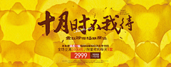 我升级咯欧耶采集到婚纱海报