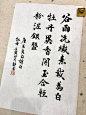 谷雨洗纤素 裁为白牡丹 - 小红书