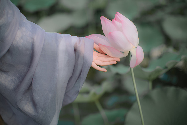 花过雨，又是一番红素。燕子归来愁不语，旧...