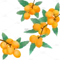 小满扁平风枇杷插画元素