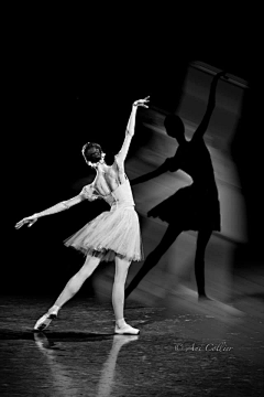 YSZ-楨采集到芭蕾 跳舞