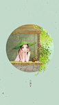 中国风二十四节气手绘插画图片，超适合做壁纸的唯美图片