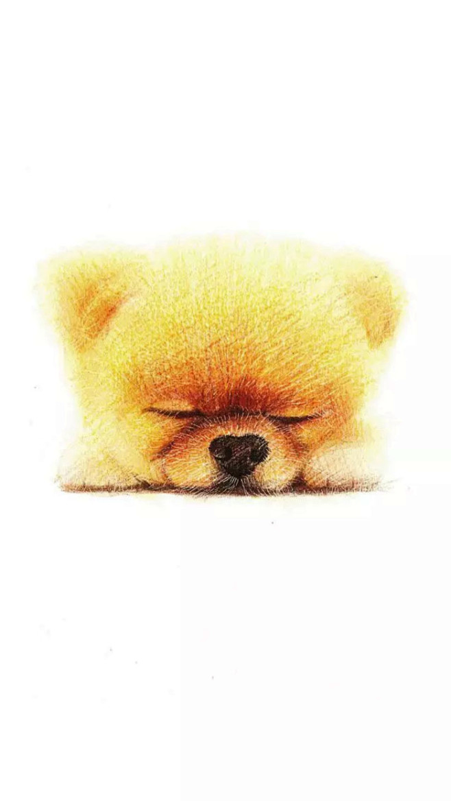 手绘。插画。夏天。彩铅。狗狗。手绘素材。...