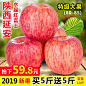 新果陕西一级洛川红富士苹果水果新鲜脆甜应季包邮一整箱10斤带箱-tmall.com天猫