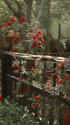风景壁纸 - 高清图片，堆糖，美图壁纸兴趣社区