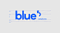 Blue 5 Solutions : A Blue 5 Solutions é uma empresa 360 onde oferece soluções integradas aos seus clientes, entendo o seu público e criando conexões. Blue representa a cor da empresa bem como o número 5, além de representar as cinco soluções de atuação: E