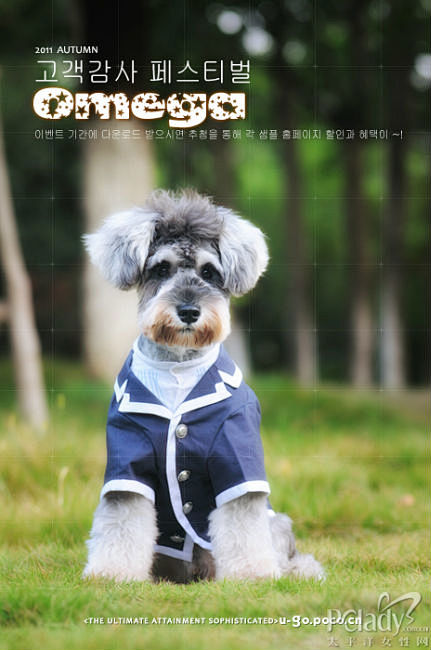 学院风---雪纳瑞omega_太平洋女性...