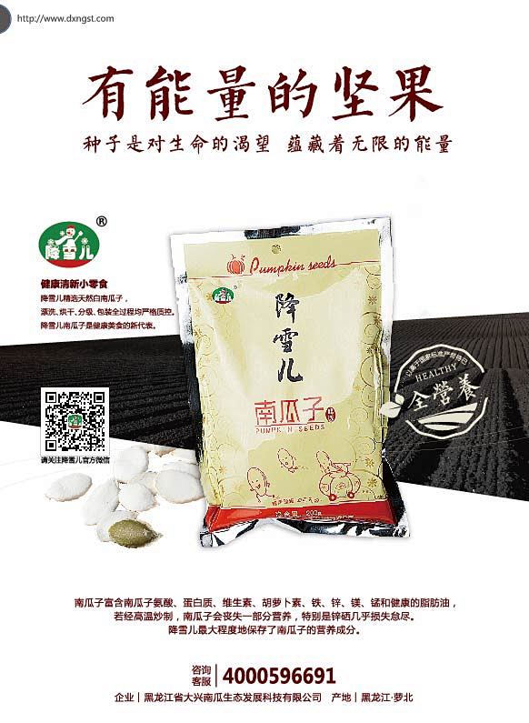 南瓜子单页设计-ok-01