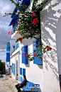 【世界十大浪漫小镇之西迪布萨义德】这里不是圣托里尼，是突尼斯的西迪布萨义德。这样的蓝白小镇你喜欢吗？（图via网络) http://t.cn/8F1IVxV