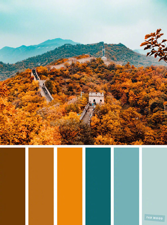 秋天的色彩组成 ​​​​