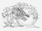 Creative Cloud Dragon : Adobe Creative Cloud Dragon Illustration