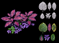 Tropical Foliage