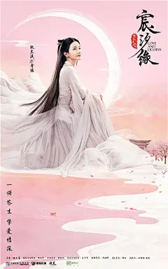 宸汐缘 海报