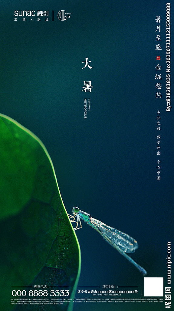 大暑 小暑 夏至 处暑 节气