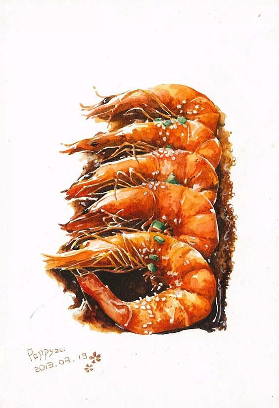 Shrimp Illustration ...