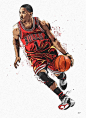 D.rose