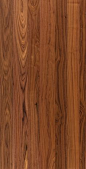 walnut timber texture - Google Search