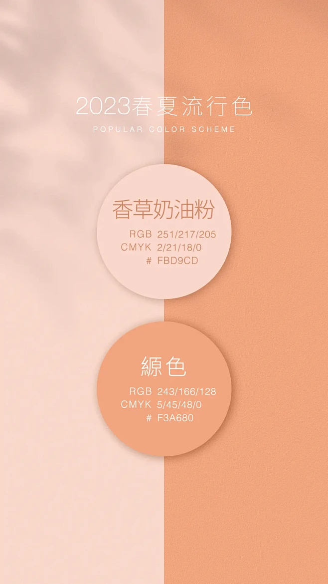 发现更多精彩视频 - 抖音搜索
