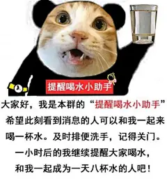 提醒小助手表情包合集-提醒提肛小助手表情包大全-多特游戏