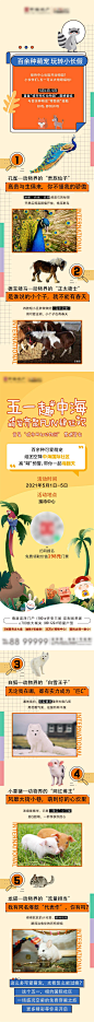萌宠长图 