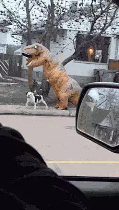 (21 封私信 / 29 条消息) 面对新型肺炎疫情，大家有没有关于口罩的沙雕表情包？ - 知乎 : 有问题，上知乎。知乎，可信赖的问答社区，以让每个人高效获得可信赖的解答为使命。知乎凭借认真、专业和友善的社区氛围，结构化、易获得的优质内容，基于问答的内容生产方式和独特的社区机制，吸引、聚集了各行各业中大量的亲历者、内行人、领域专家、领域爱好者，将高质量的内容透过人的节点来成规模地生产和分享。用户通过问答等交流方式建立信任和连接，打造和提升个人影响力，并发现、获得新机会。