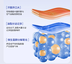 卷心菜菜_采集到1- 成分【皮肤组织】