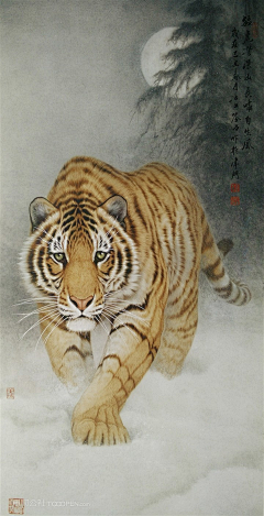 樊·品牌设计采集到虎