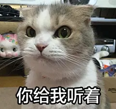 前天那组猫表情包出炉啦~~~小伙伴们拿去用咯！#表情菌分享#