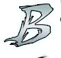 rzr_1 (10)