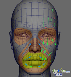 偷吃神仙果采集到3d模型