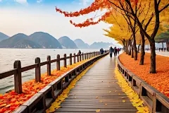 天高云濙的秋季海边小路落叶摄影图片